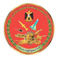 هيئة التسليح المصرية
